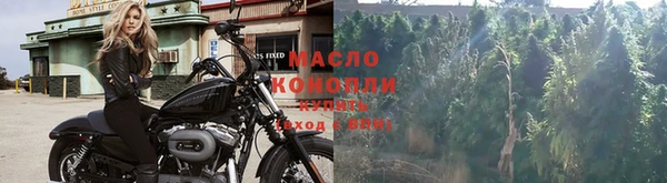 стаф Волоколамск