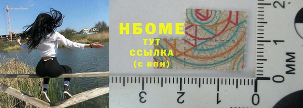 молекула духа Вяземский