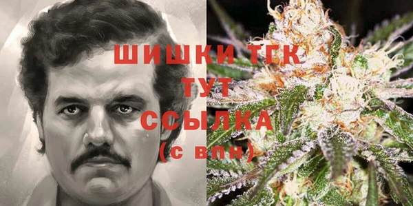 молекула духа Вяземский