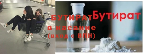молекула духа Вяземский