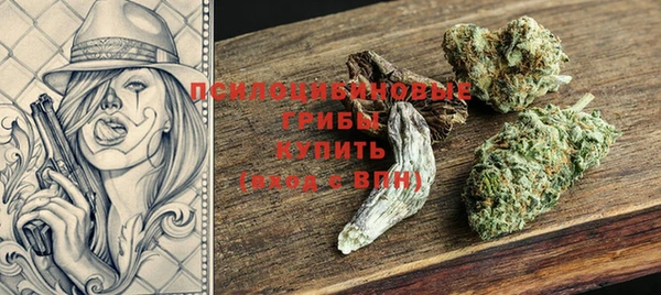 молекула духа Вяземский
