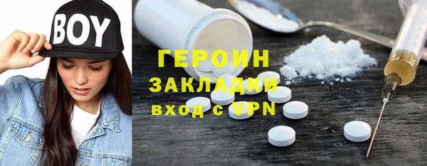 молекула духа Вяземский