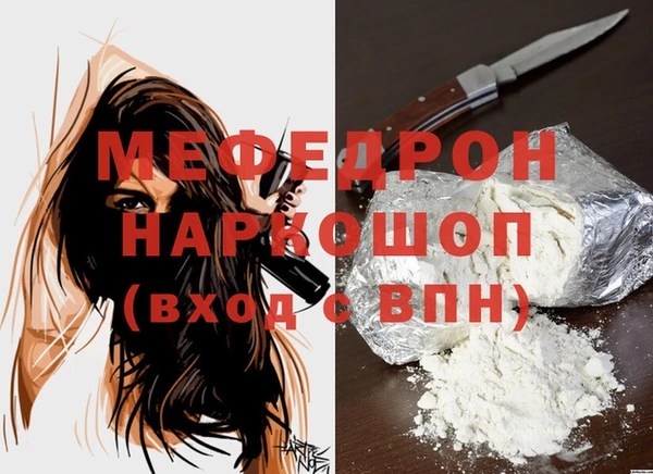 молекула духа Вяземский