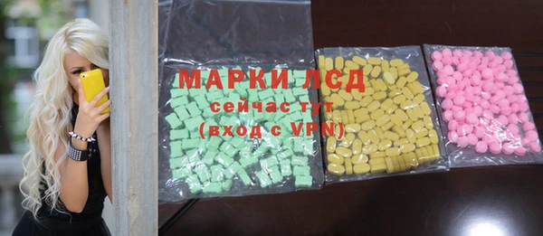 молекула духа Вяземский